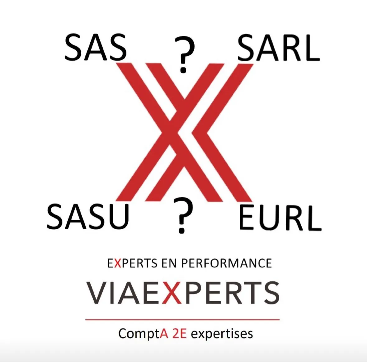 Illustration : SAS OU SARL ?